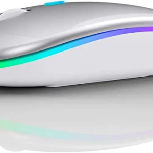 Rainbow mouse 2 Wireless