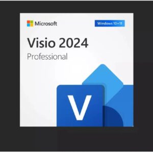 Microsoft Visio Professional 2024